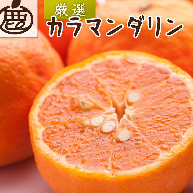
            ＜4月より発送＞厳選 カラマンダリン5kg+150g（傷み補償分）◇【南津海・なつみ】【希少な春柑橘】【みかんと同じように食べられます】 ※北海道・沖縄・離島への配送不可 ※2025年4月上旬～5月下旬頃に順次発送予定
          