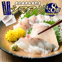 【ふるさと納税】＼ レビューキャンペーン対象品 ／ 脂がのった 高級魚 シマアジ スキンレスロイン 選べる 4〜8節入り ＼カットするだけ簡単！新鮮なお刺身が楽しめる／ 新鮮 なまま 長島町 より 産地直送 冷蔵 ふるさと納税 刺身 鯵 あじ 【JFA】jfa-1359