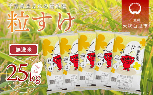 
【新米】令和6年産 千葉県産「粒すけ」25kg無洗米（5kg×5袋） お米 無洗米 25kg 千葉県産 大網白里市 粒すけ 米 こめ 送料無料 A047
