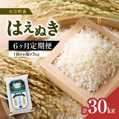 ふるさと納税 大江町 《先行受付》新米《6ヶ月定期便》 はえぬき 5kg×6ヶ月【10月頃より順次発送】001-T06
