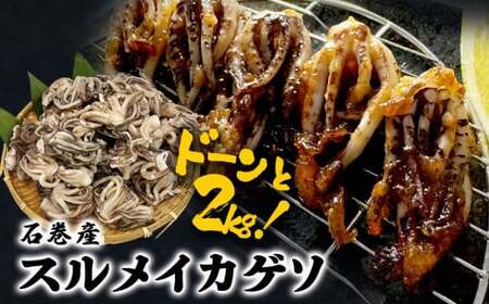 訳あり 石巻産スルメイカゲソ 2kg 冷凍 国産 いか 下足 おつまみ ゲソ天 焼イカ おかず イカ イカ イカ イカ イカ イカ