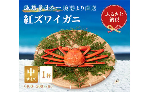 【蟹セレブ】ズワイガニ（紅ズワイガニ）中1杯（400～500g×1）