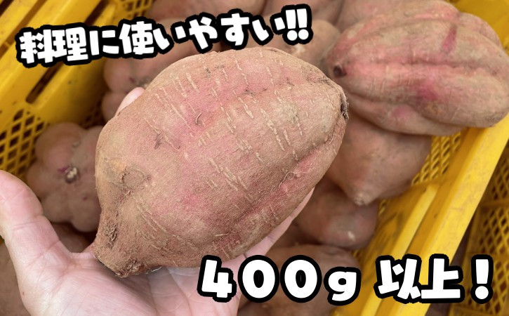 １つあたり４００ｇ以上！規格外の特大サイズです