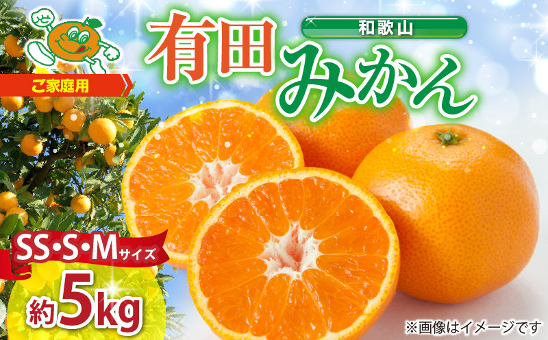 
                  【2026年先行予約】【ご家庭用】和歌山 有田みかん 約5kg (SS、S、Mサイズ)【湯浅町】_ZJ6081
                