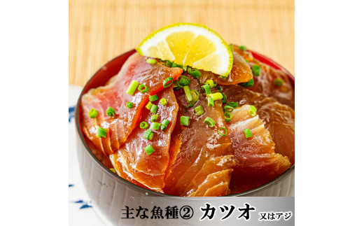 【6ヶ月 定期便】漬け丼 5種×1パック 計5食セット | 定期便 漬け丼 海鮮 惣菜 冷凍 真空パック 小分け 海鮮丼 海鮮セット 詰め合わせ 旬の鮮魚 ハマチ カンパチ カツオ 鯖 サバ ヒラマサ
