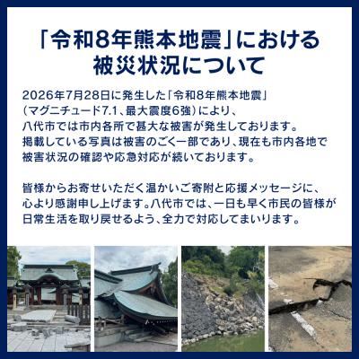 ふるさと納税 八代市 【令和8年熊本地震復興支援】ティッシュ 3箱 スコッティ フラワーボックス_186-6422 |  | 01