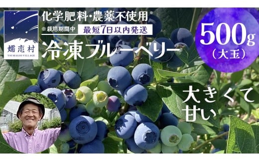 【 最短 7日以内 発送 】 冷凍 ブルーベリー 大玉 500g 【 栽培期間中 化学肥料 農薬 不使用 】 数量限定 大粒 国産 フルーツ スムージー 果物 くだもの 農家直送 スイーツ アイス ノーザンハイブッシュ系 ミックス [AT010tu]