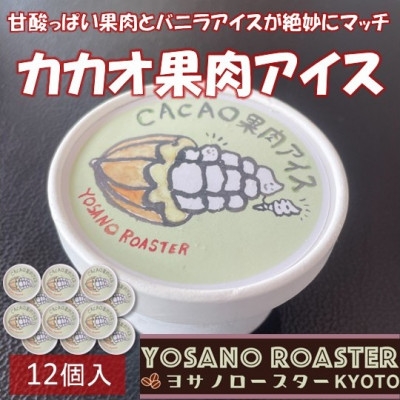 
                  カカオ果肉入りアイス　12個入　バニラアイスと甘酸っぱい果肉が相性バツグンのアイスクリーム【1742133】
                