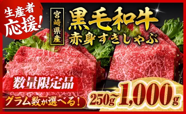 
            ※発送月・内容量が選べる※ 生産者応援！宮崎県産黒毛和牛赤身すきしゃぶ250g～1000g 【 数量限定 牛肉 牛 肉 すき焼き すきやき しゃぶしゃぶ スライス 】
          