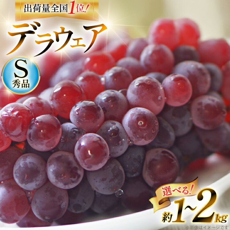 【ふるさと納税】 【期間限定発送】 ぶどう デラウェア 秀品 【選べる内容量】 [治右衛門果樹園 山形県 高畠町 tk06ays830012] 種なし ブドウ 葡萄 くだもの 果物 フルーツ 産地直送 農家直送 果実 デザート 甘い 1kg 2kg 小粒 期間限定 数量限定 冷蔵