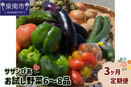 サザンぴあ お試し野菜6～8品 3ヶ月定期便【015B-002】