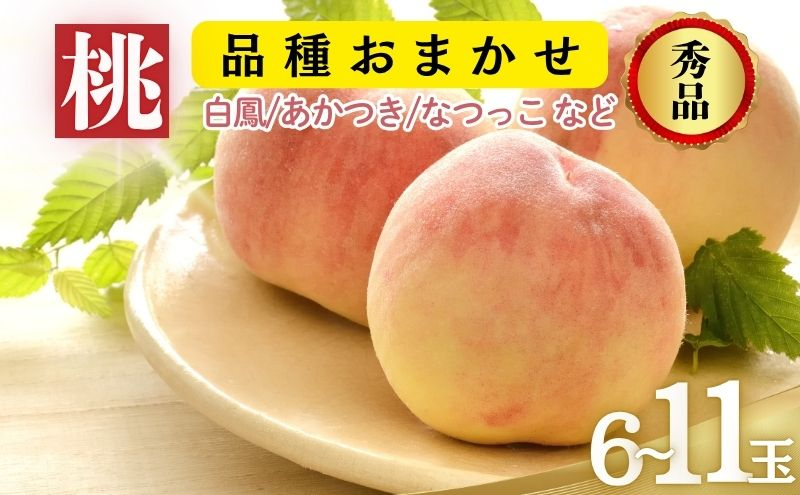 
            品種おまかせ（白鳳、あかつき、なつっこなど）秀品 約3kg 6～11玉 桃 もも 果物 信州 長野
          