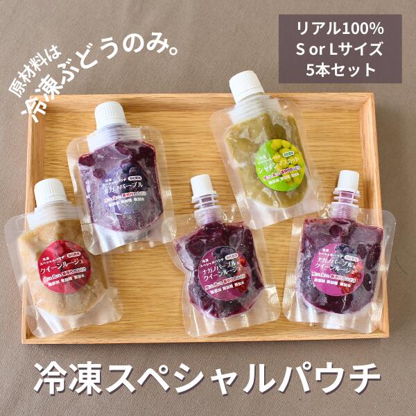 【ふるさと納税】＊通年発送＊ぶどう 冷凍スペシャルパウチ リアル100％ 5個セット Sサイズ or Lサイズ［TK26 TK25］