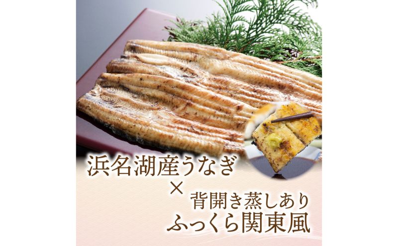 浜名湖産 うなぎ白焼 約140g×3尾入り うなぎ ウナギ 鰻 ブラ
