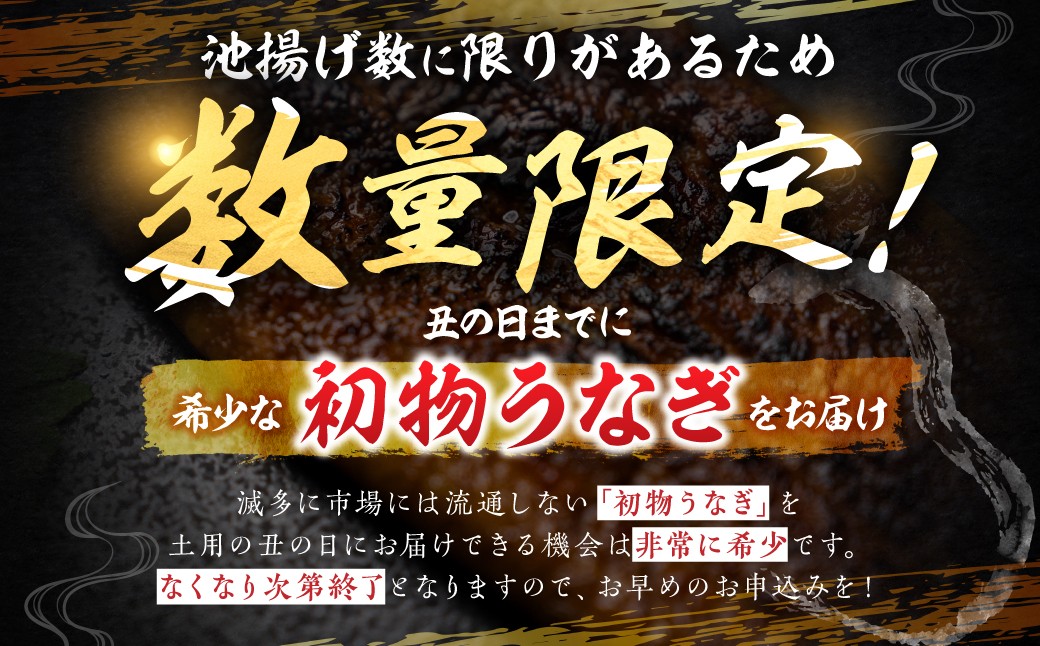 
                  【土用の丑の日お届け】山義養魚の『うなぎ晴々』 選べる1～7尾 希少 豊橋うなぎ 蒲焼 厳選 国産 新仔うなぎ 若うなぎ 鰻 簡易包装 ウナギ うなぎ 鰻 蒲焼 ギフト ひつまぶし 土用丑の日 ギフト 冷凍  丑の日 簡単調理 豊橋うなぎ お取り寄せ 送料無料 ごちそう
                