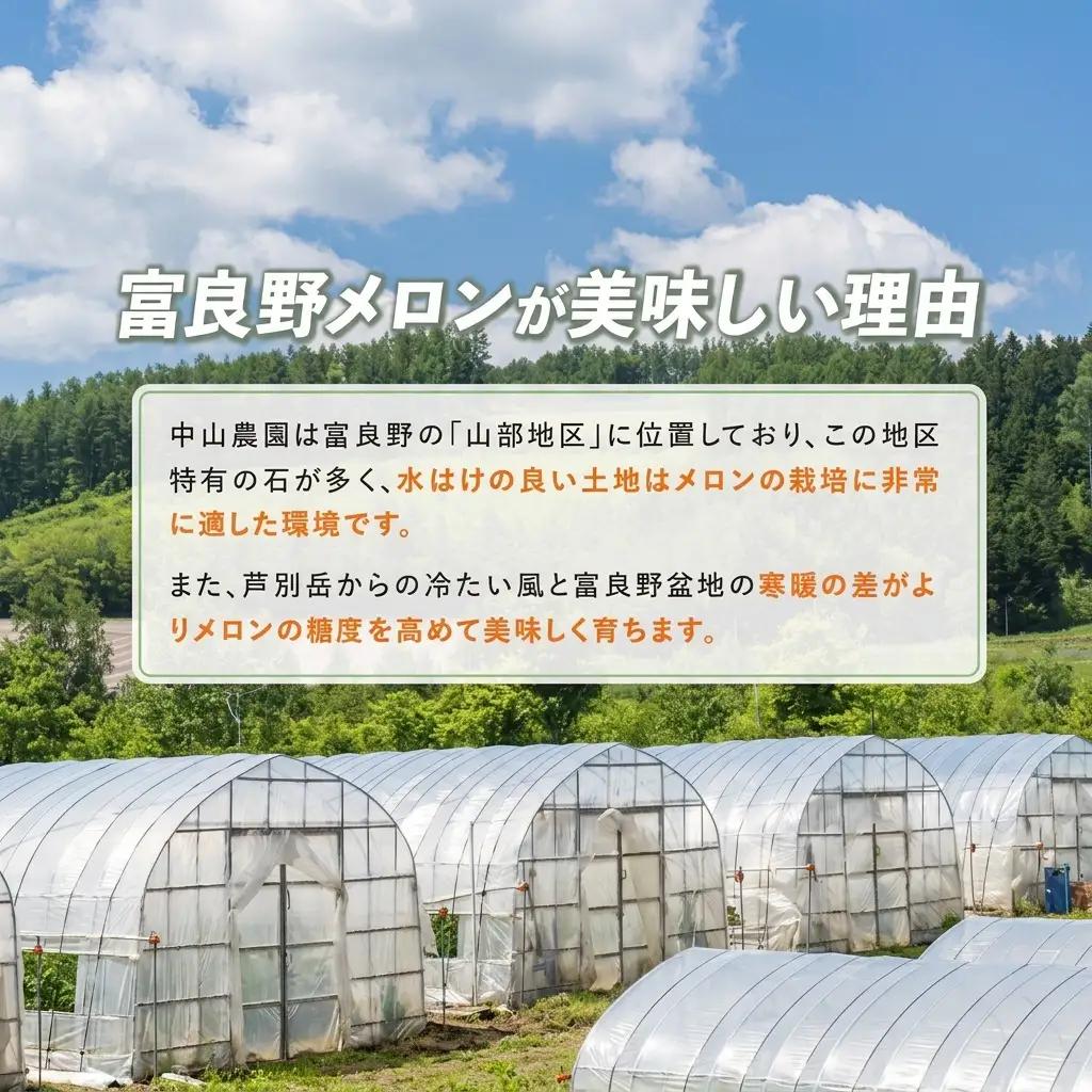 富良野メロン 夏メロン 秋メロン 中山農園 富良野メロン【計2玉】【2回定期便】[先行予約]
