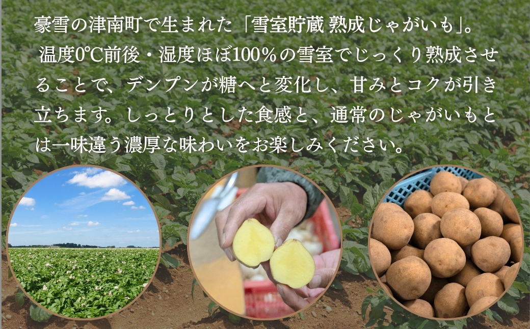 雪室熟成のじゃがいも 10kg | 津南町 有限会社大地