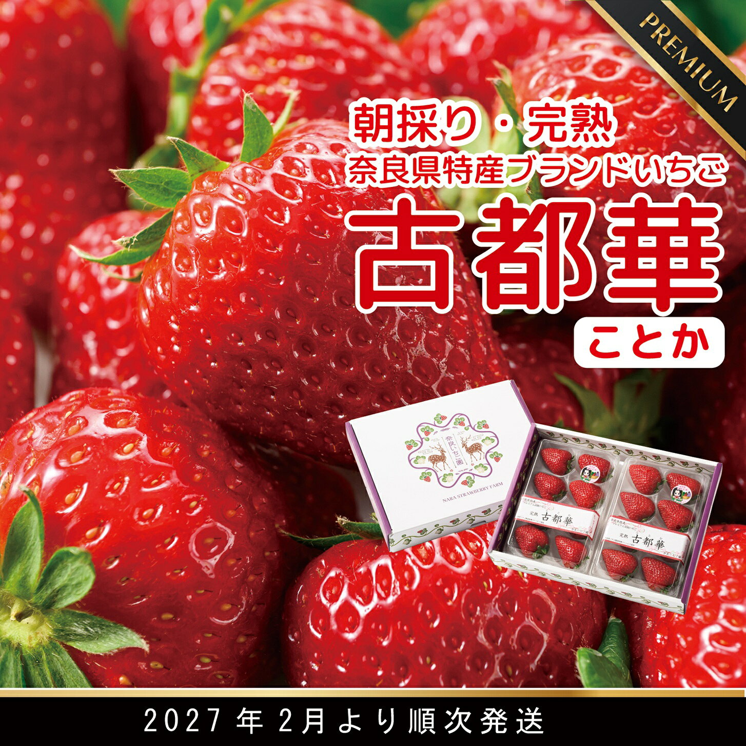 【ふるさと納税】【数量限定】【先行予約】【2月より順次発送】奈良県特産 高級ブランドいちご「古都華」 // いちご イチゴ 古都華 フルーツ 果物 旬 限定 ブランド 朝採り 完熟 いちご ことか 先行予約 古都華 数量限定 古都華 甘い 先行受付 予約 贈答用 ギフト 化粧箱