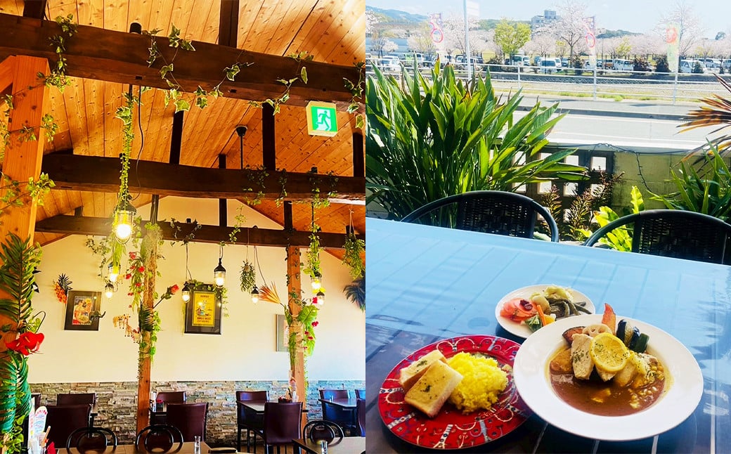 冷凍 スープ カレー 極み 2食 セット