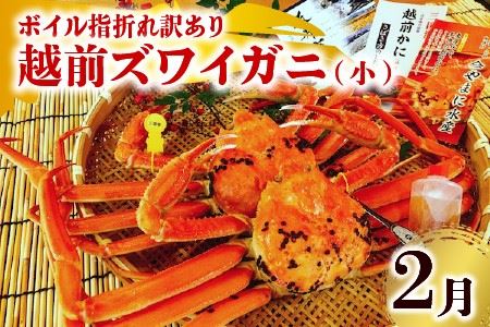 【先行予約】【年2回定期便】越前がに・せいこがに食べ比べコースB（12月・2月発送） [G-4354]
