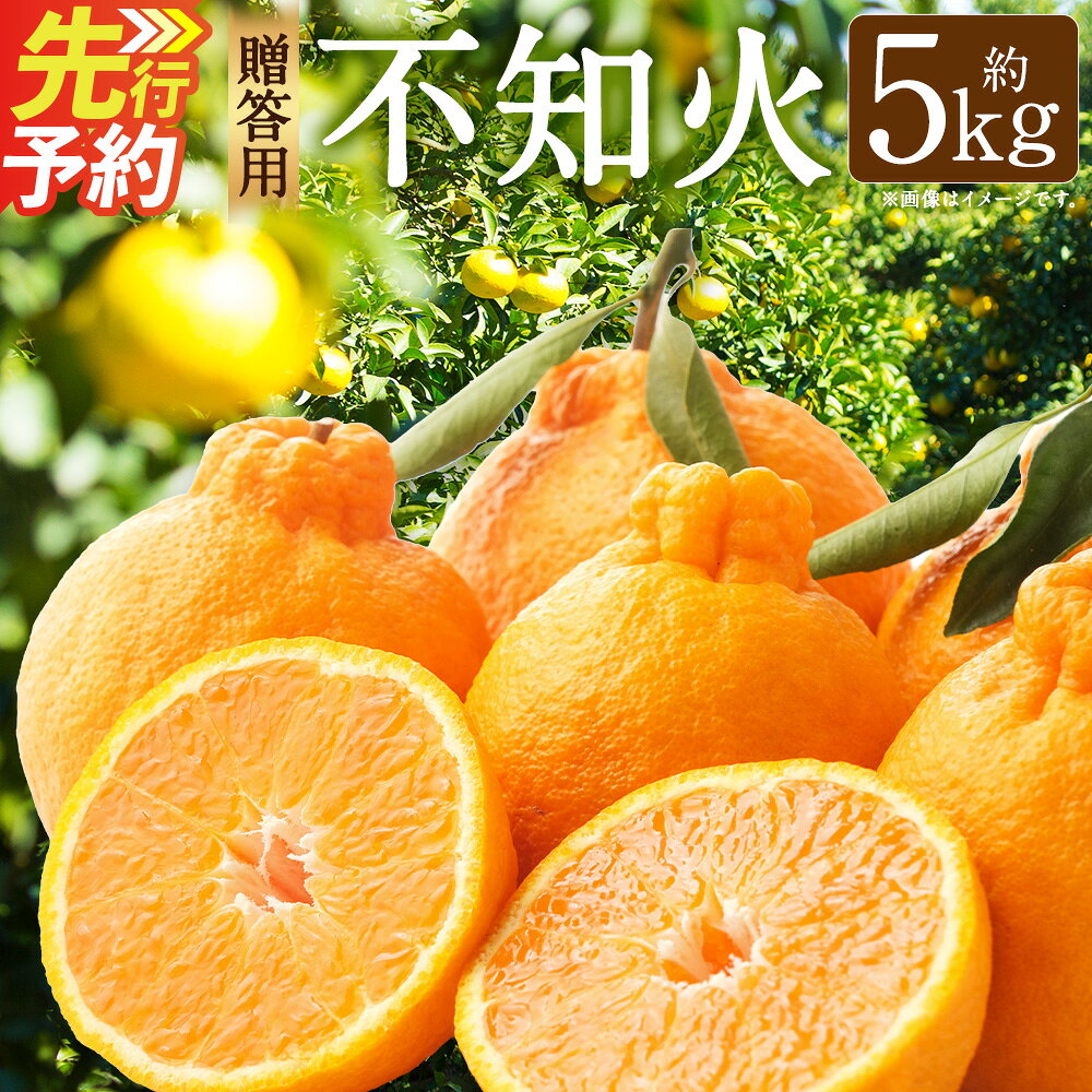 【ふるさと納税】熊本産おにつか農園こだわり不知火 贈答用 約5kg デコポン 果物 果実 果汁 フルーツ 熊本県産 水俣市産 送料無料【2027年3月下旬発送予定】