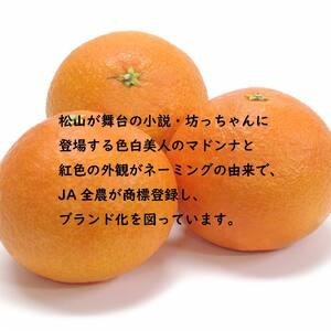 【先行受付】JA特選品 紅まどんな（青秀L～3L 約3kg）【EN0092】