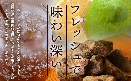 【先行受付】<2025年10月～12月順次発送> 黒糖レモン生シロップ120ml×2本 | 沖縄 石垣 黒糖 波照間 青切り レモン マイヤー メイヤー 生 シロップ | TF-47