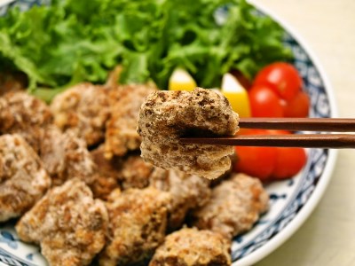 鯨竜田揚げ1kg冷凍小分け くじら鯨くじら鯨くじら鯨くじら鯨くじら鯨くじら鯨くじら鯨くじら鯨BY