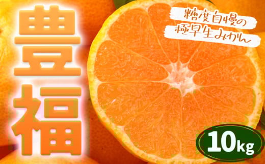 極早生みかん 「 豊福 」 10kg 箱入り 都呂々みかん生産者グループ《10月中旬-11月下旬頃出荷》 フルーツ 果物 くだもの 柑橘 みかん ミカン 蜜柑 熊本県 苓北町