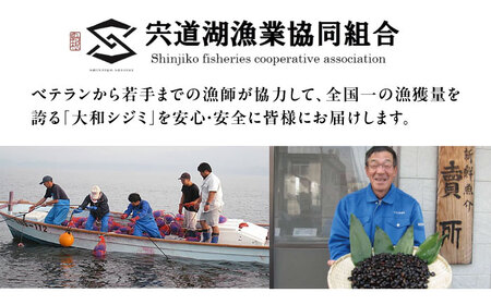 【全12回定期便】地元でも入手困難なレアサイズ！ Lサイズ 宍道湖産ヤマトシジミ(冷凍砂抜き済み)1kg×2袋(2kg) 島根県松江市/宍道湖漁業協同組合[ALAZ011]