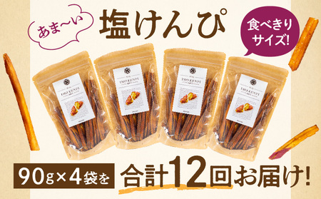 【定期便・全12回】熟成さつまいもの塩けんぴ　1回当たり90g×4袋 定期便 サツマイモ 芋けんぴ