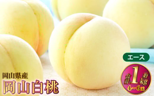 
            岡山白桃 エース 4～6玉 約1kg 岡山県産【2025年7月上旬～8月下旬発送予定】 白桃 桃 もも モモ
          