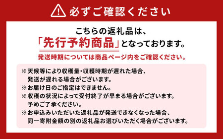【先行予約：2025年8月中旬より順次発送予定】 巨峰 種あり 約2kg / ぶどう 葡萄 フルーツ / 大村市 / おおむら夢ファームシュシュ[ACAA380]
