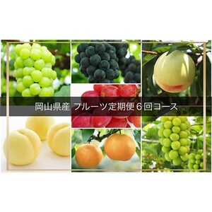 【発送月固定定期便】岡山県産 フルーツ定期便全6回【配送不可地域：離島・北海道・沖縄県】【4014389】