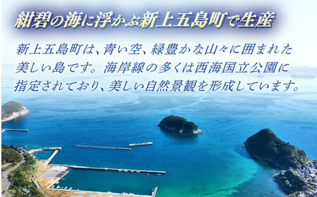 【全12回定期便】【貴重な天然物質「フコキサンチン」配合】　marica FX フコキサンチン　サプリメント　健康食品　健康維持　健康 美容 お手軽 新上五島町 【株式会社ブルーサイエンティフィック新