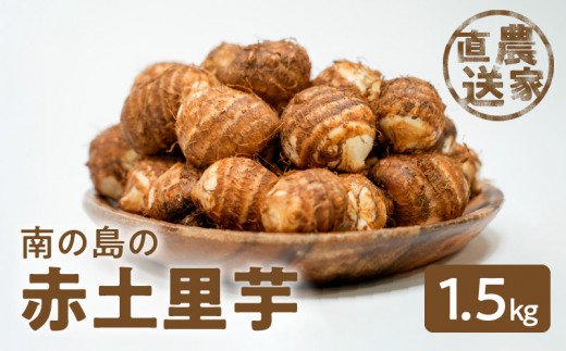 農家直送！栽培歴40年！南の島の赤土里芋1.5kg！【5月上旬～6月下旬】　W042-001u