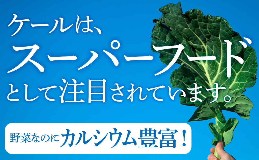 【毎月定期便】旬だからこそ手をかけない美味しさがある【無添加 ケールまるごと100%ジュース】全3回【配送不可地域：離島】