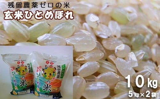 2025年産　玄米ひとめぼれ 「残留農薬０の米®」 10kg（5kg×2袋） 【718】