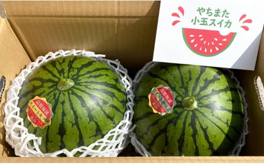 【２玉セット】やちまた「小玉すいか」スイートキッズ  スイカ ちばエコ野菜