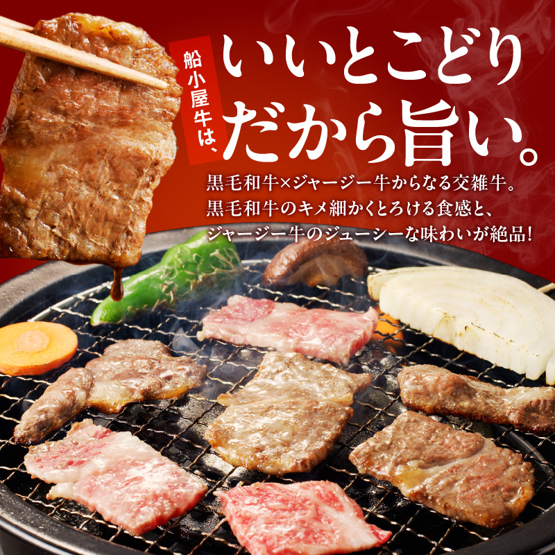 筑後船小屋牛リブロース焼肉500g【福岡県産】