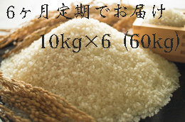 全6回定期便 福岡県大川市産ヒノヒカリ(2024年秋収穫のお米)10kg×6回