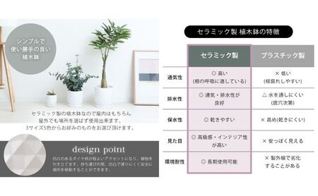 植木鉢 Φ25 crescere クレッシェル 選べるカラー セラミック 約 8号 フラワーポット プランター 鉢 受け皿 大型 観葉植物 おしゃれ くすみカラー ガーデニング用品 ガーデニング 園芸