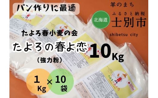 【北海道士別市】「※10月～順次発送 予約受付※」たよろの春よ恋（強力粉）1kg×10袋