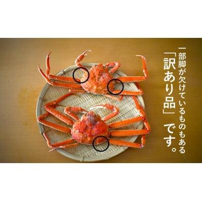 ふるさと納税 浦河町 訳あり 活オオズワイガニ約1kg(約4尾入)[02-1409] |  | 01