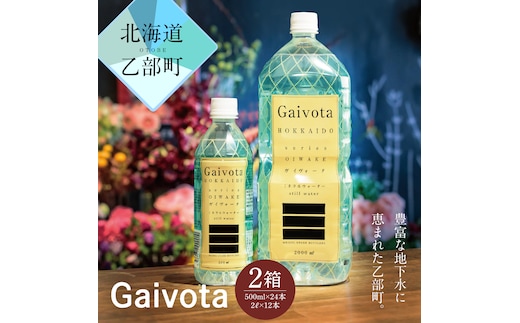 
										
										＜Gaivota 1箱（500ml×24本/箱）+1箱（2L×6本/箱＞ 北のハイグレード食品 北海道乙部町の天然シリカ水
									