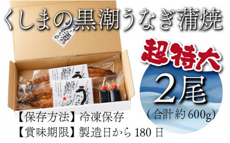 OTUCT-2 【数量限定】超特大くしまの黒潮うなぎ蒲焼２尾（合計600g前後）【大田商店】