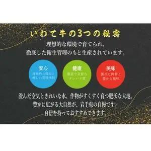 いわて牛 サーロインステーキ 1kg 黒毛和牛 ロースステーキ AB013