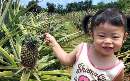 【2024年発送】比屋定農園 ゴールドバレル＆ピーチパイン 食べ比べセット