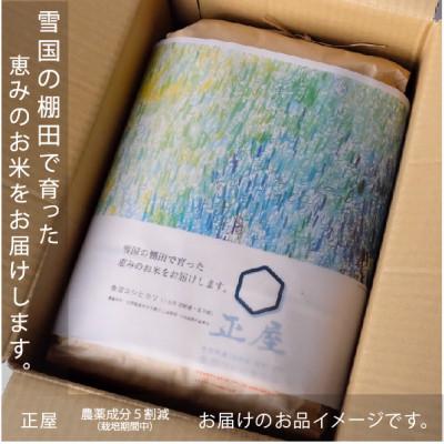 ふるさと納税 十日町市 魚沼コシヒカリ十日町産:10kg/甘みもっちり/農薬成分5割以上減(※栽培期間中地域慣行比) |  | 01