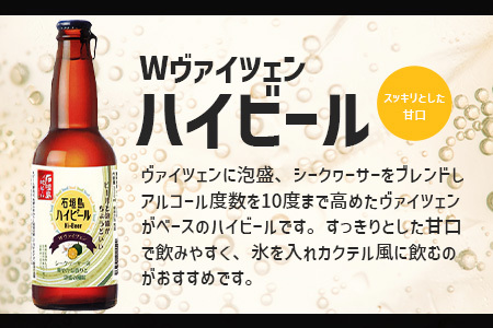 【ふるさと納税】最南端のクラフトビール＆石垣島の揚げ酵母そば　おつまみセット【 沖縄 石垣市 石垣島 ビール クラフト そば おつまみ 】V-28